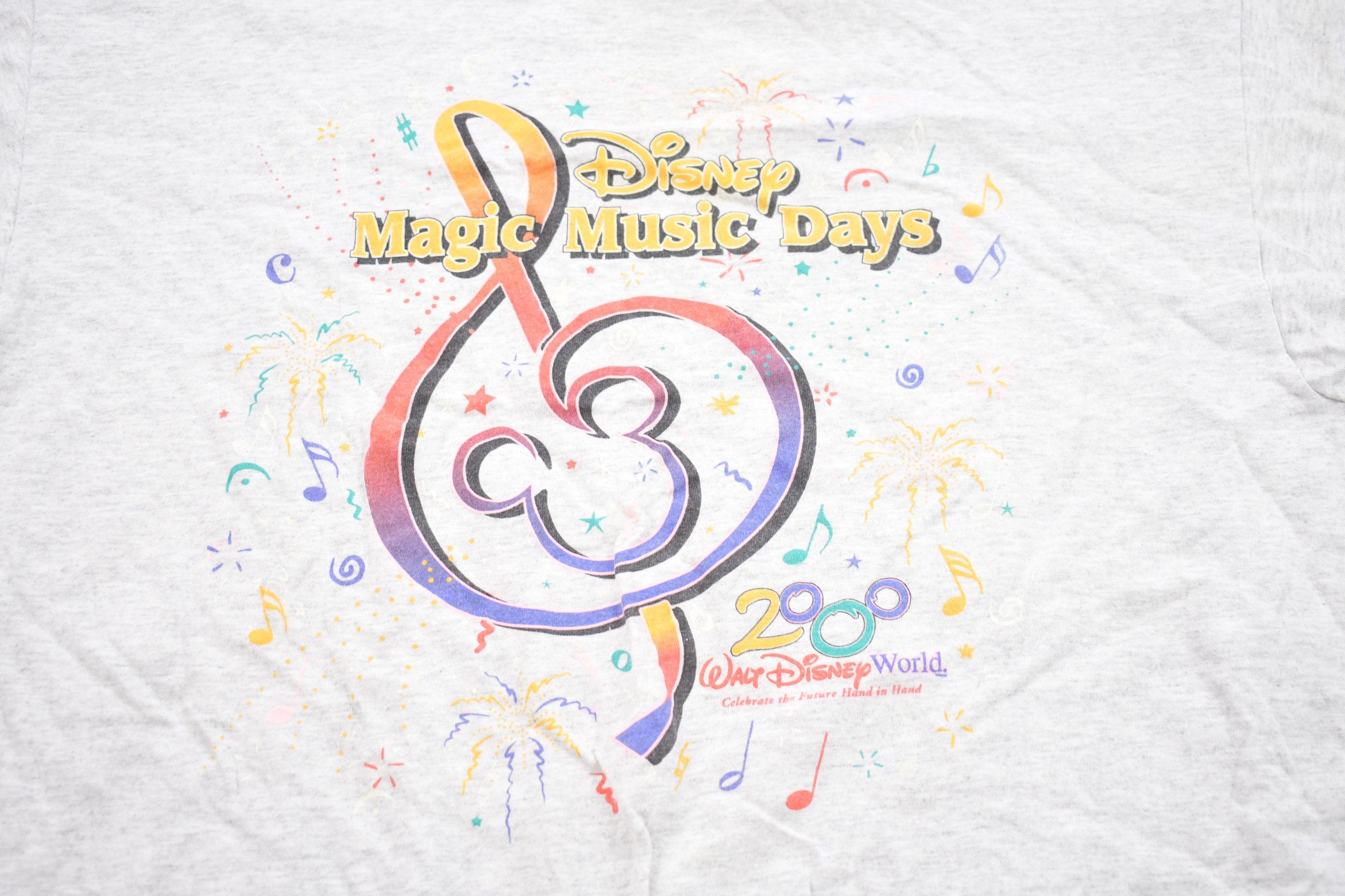 Vintage 2000 Walt Disney World Graphic T-Shirt