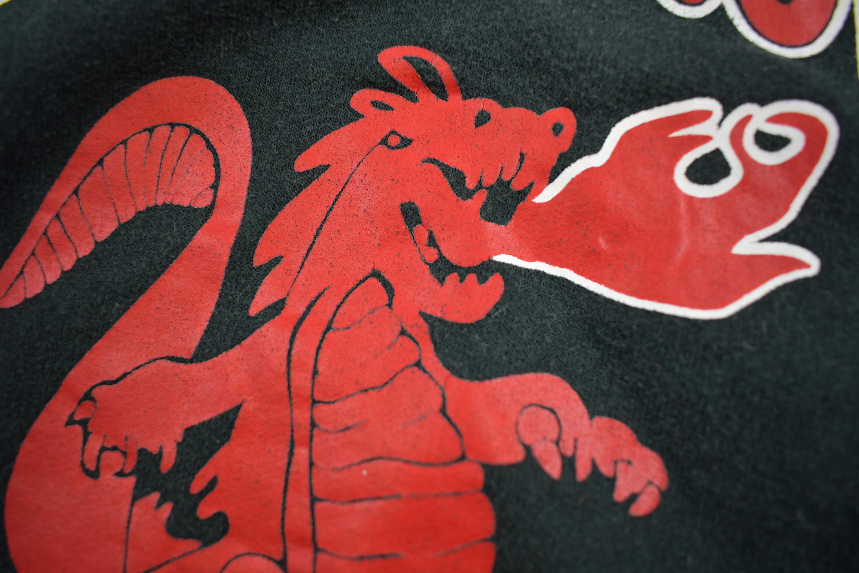 Vintage 2004 Y2K Maple Grove Dragons Hoodie Jerzees Super Sweats