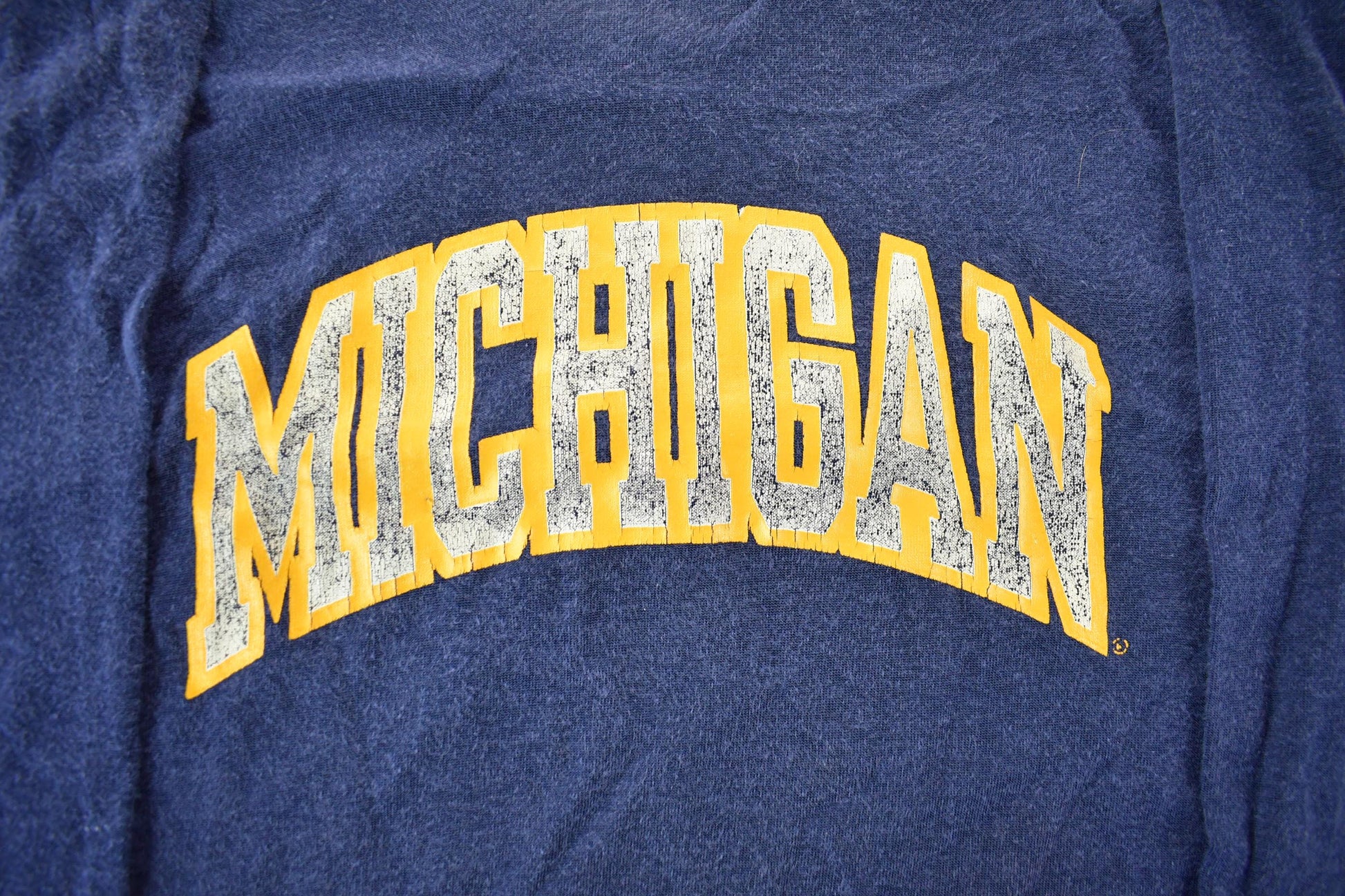 Vintage 1980s University of Michigan Collegiate T-Shirt / NCAA Tee / Americana / Wolverines Football / 90s Champion / Men's XL