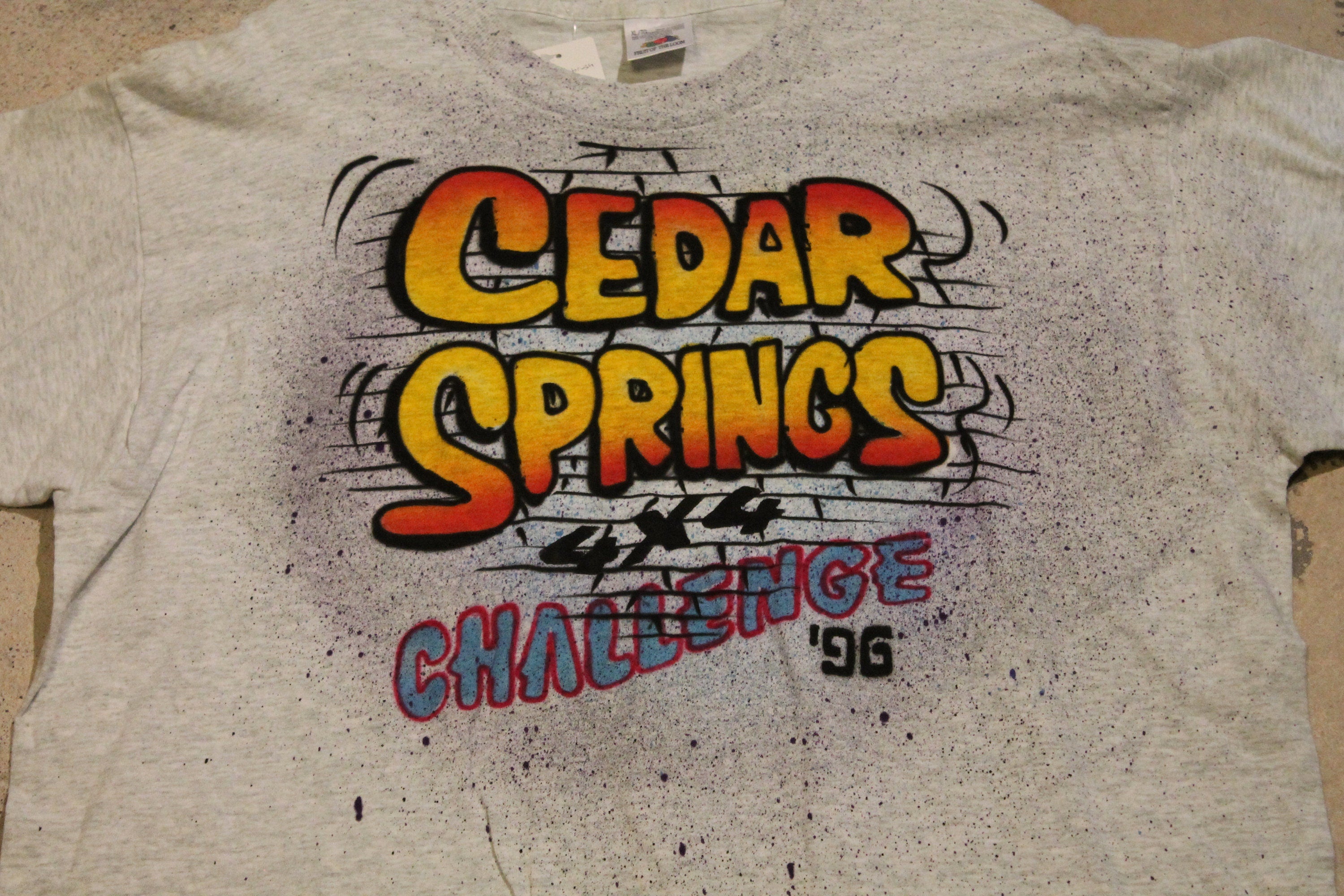 Vintage 1996 Cedar Springs Challenge Graphic T Shirt