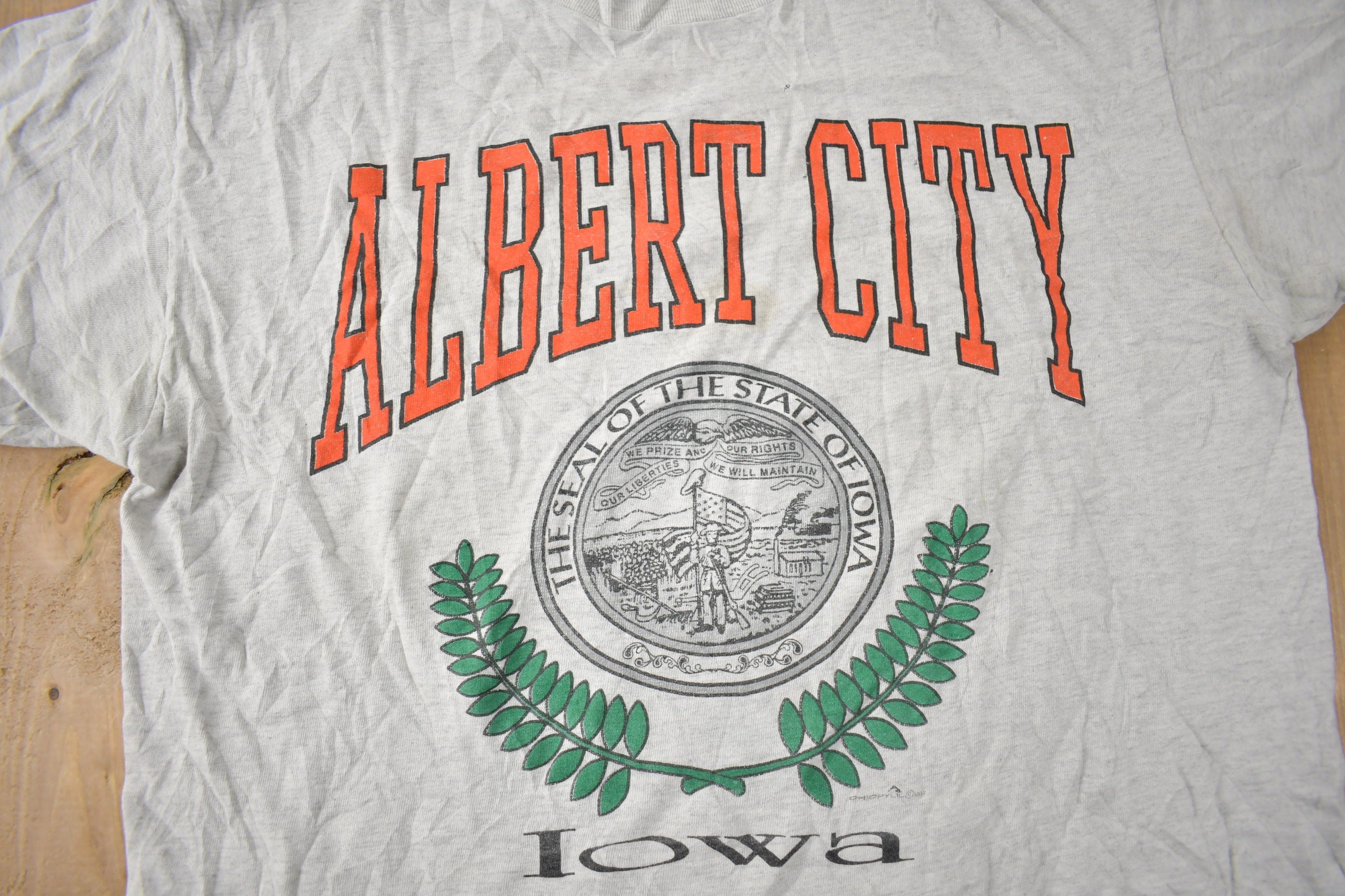 Vintage 1990s ALBERT CITY IOWA Graphic T Shirt Size M