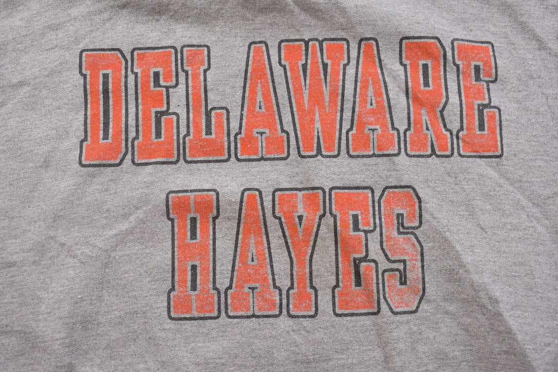 Vintage 1990s Delaware Hayes Pacers Collegiate Crewneck / Graphic Hoodie / Delaware Sweatshirt / Sportswear / Americana / Delaware Vintage