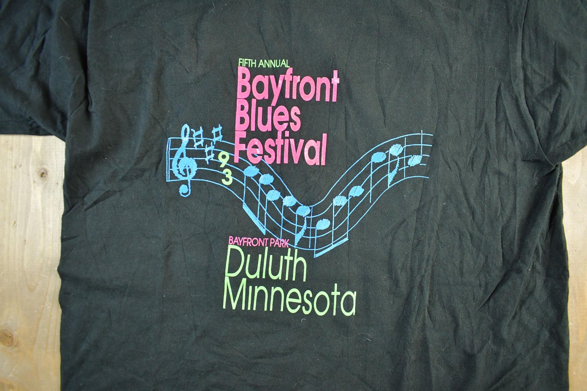 Vintage 1990s Bayfront Blues Festival T-Shirt Men's Large / Duluth Minnesota / Streetwear / Band Tee / Made In USA