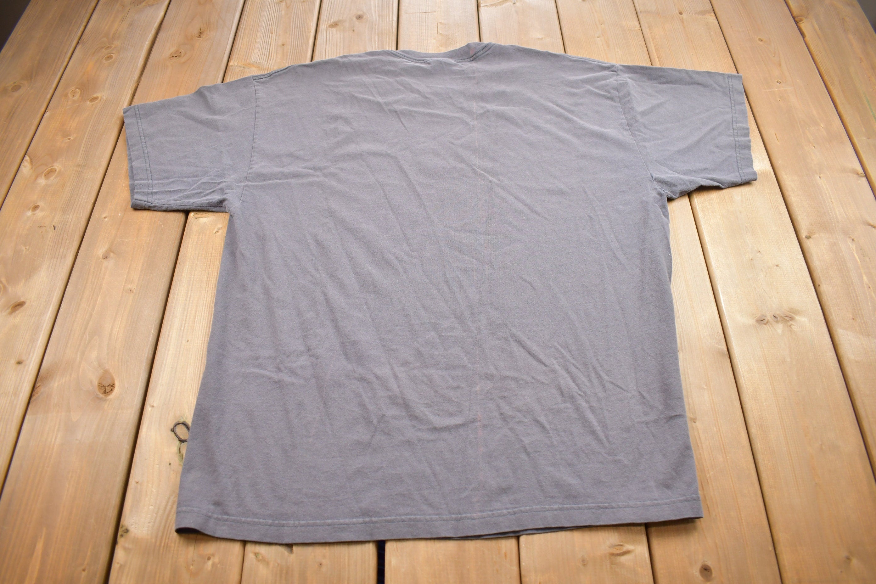 Vintage 1990s Arizona Flying Eagle Souvenir T Shirt