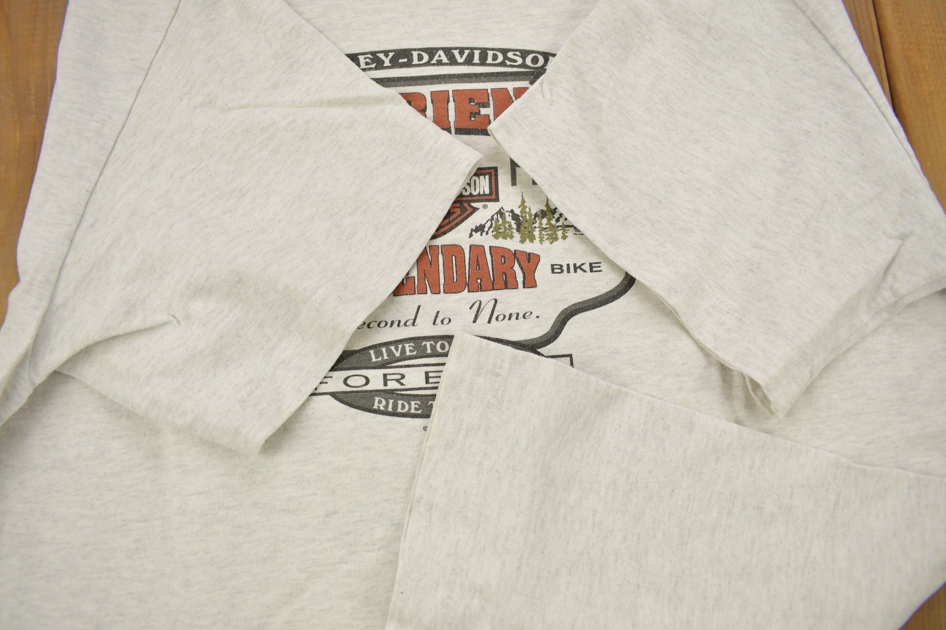 Vintage 1996 Fischer's Harley Davidson Vienna Austria T-Shirt