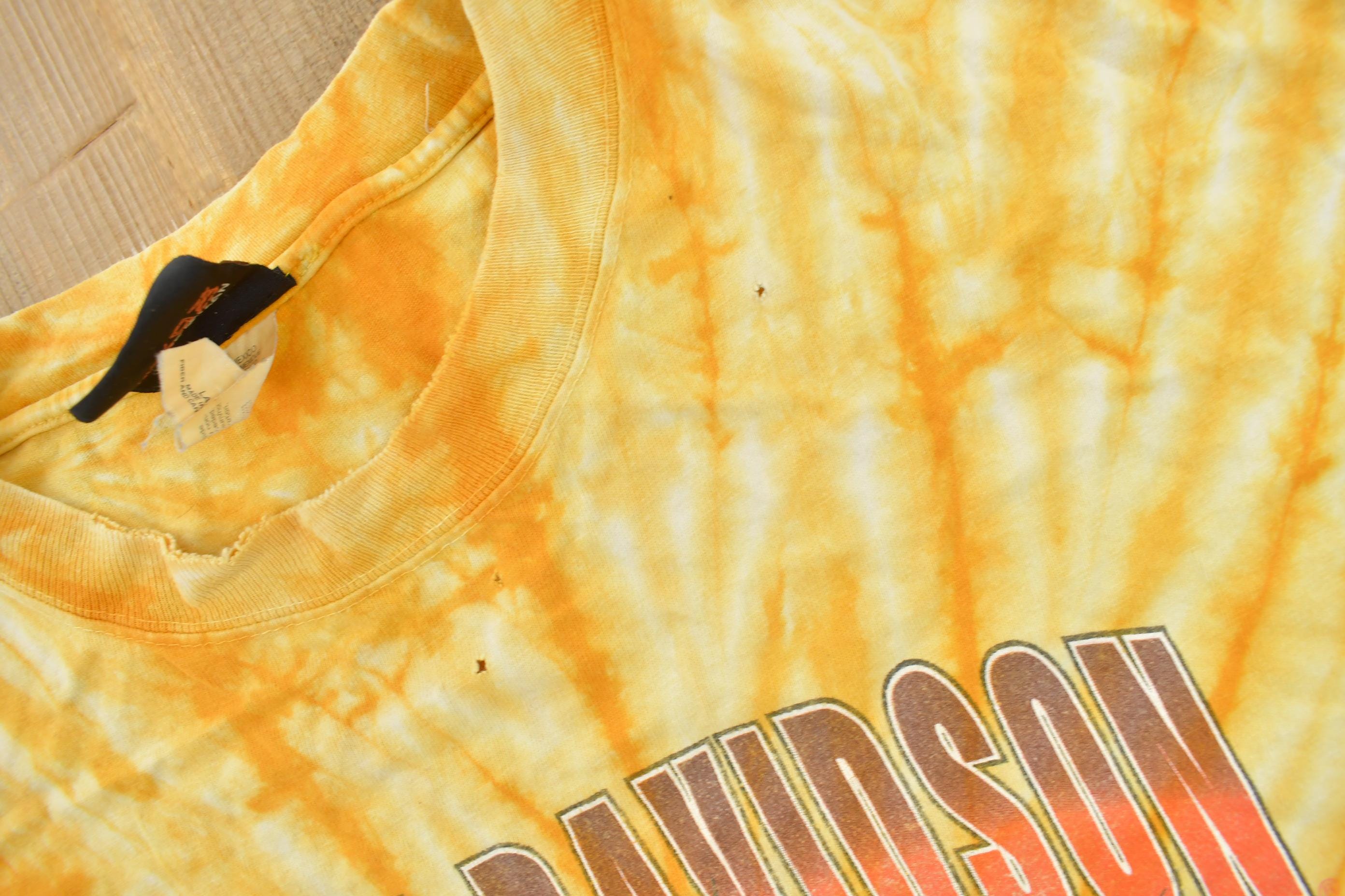 Vintage 2000 Boswell's Harley Davidson Nashville Tennessee Tie Dye Eagle Graphic T-Shirt