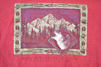 Vintage 1990s Rocky Mountain National Park Prairie Mountain Souvenir T-Shirt Mens M