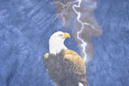 Vintage 1990s The Mountain Bald Eagle Lightning Souvenir T-Shirt Men's XL