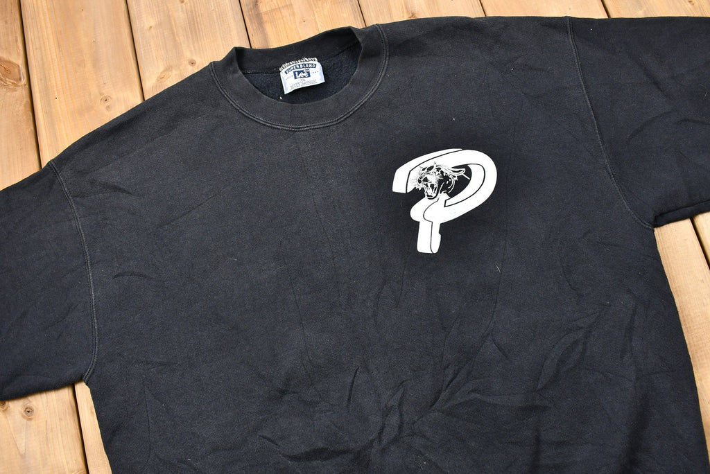 Vintage 1990s Palatine Panthers Baseball Crewneck Sweatshirt