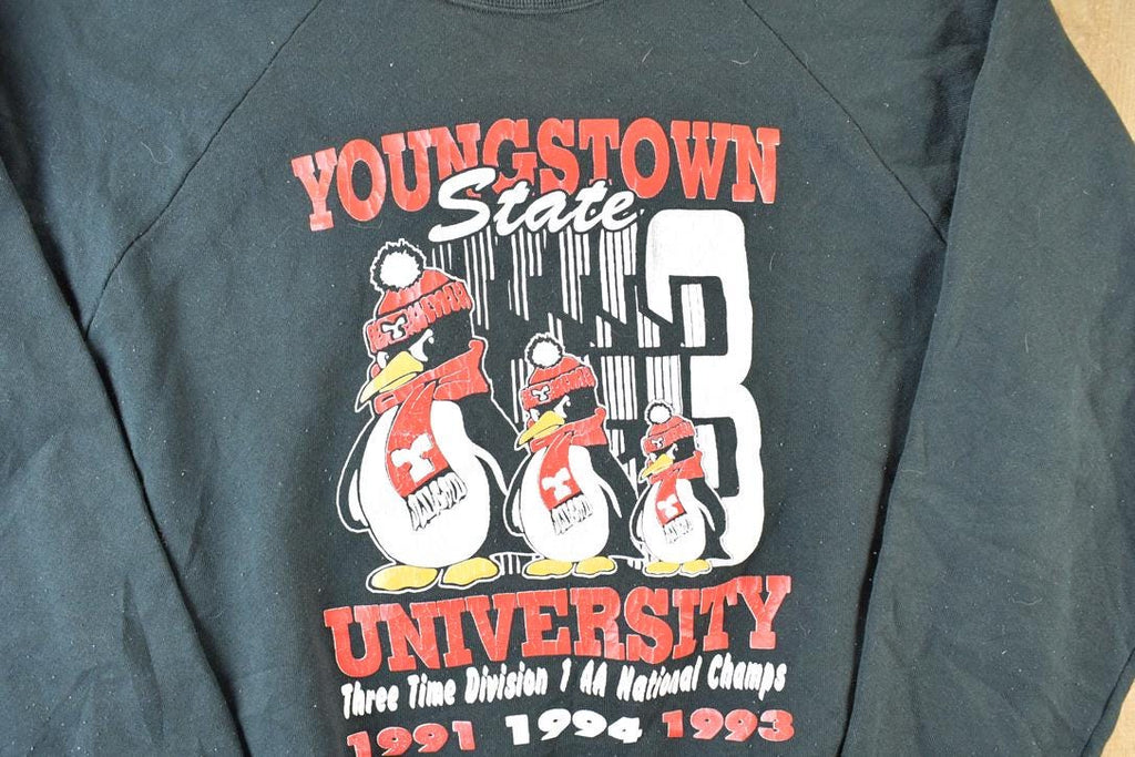 Vintage 1994 Youngstown State Ohio University Crewneck