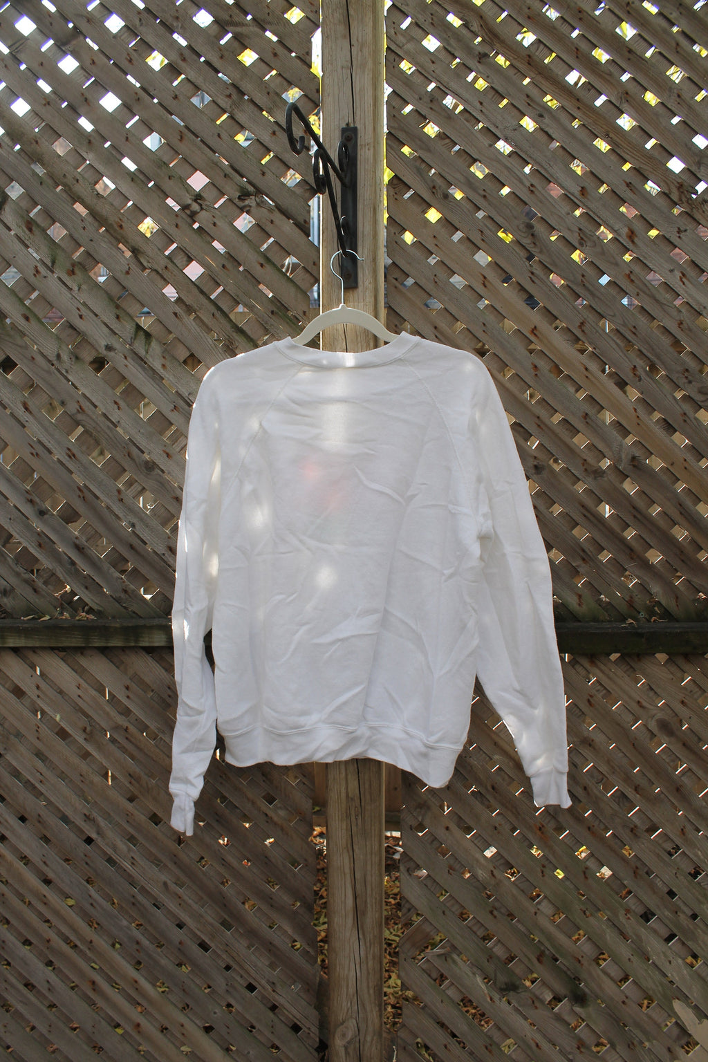 Vintage 1980s Crewneck Skating Bunny Rabbit Embroidered Raglan Crewneck