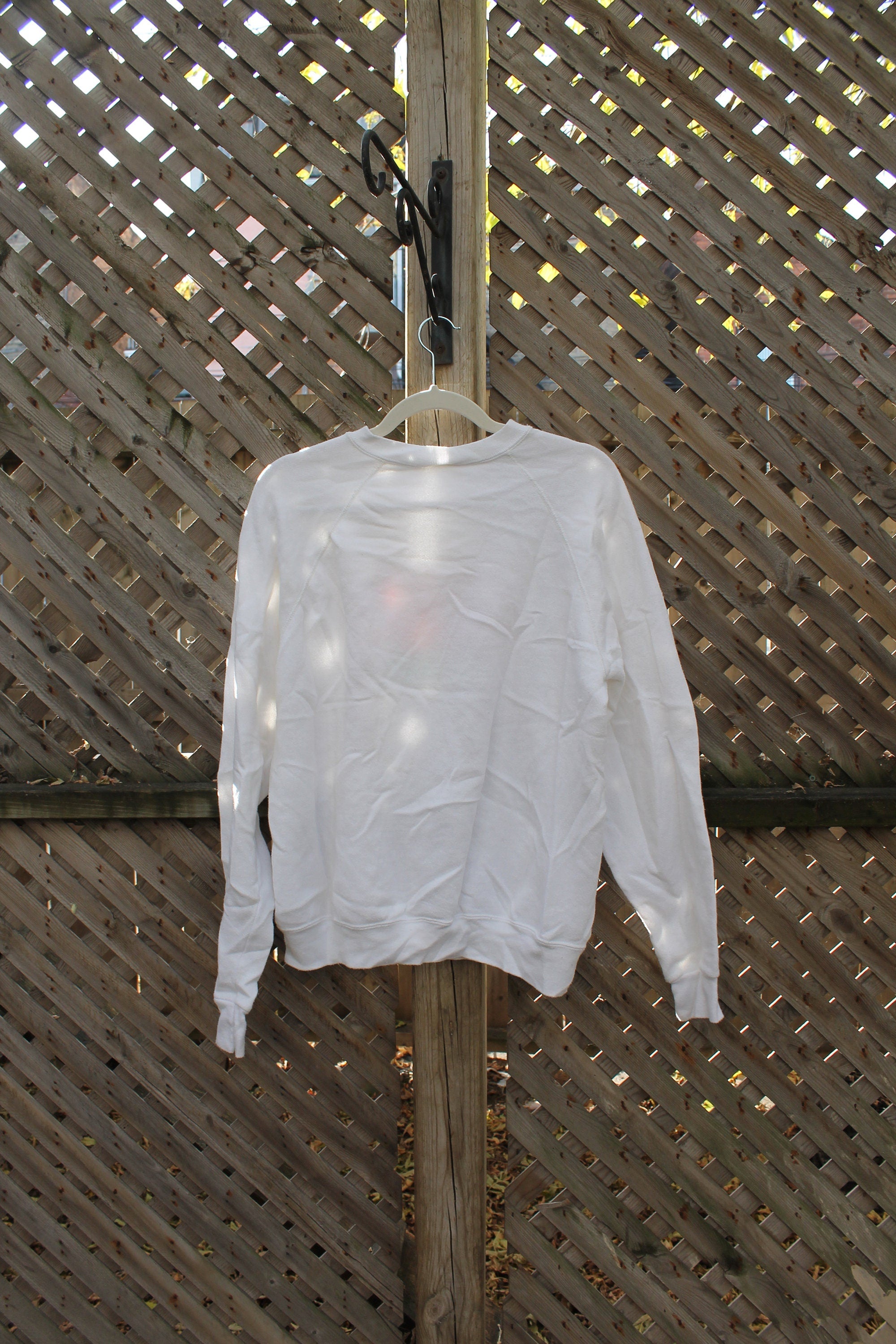 Vintage 1980s Crewneck Skating Bunny Rabbit Embroidered Raglan Crewneck