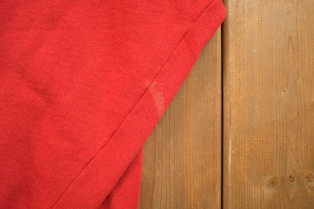 Vintage 1990s Ohio State University Collegiate Crewneck