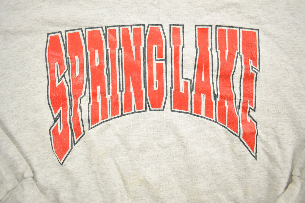 Vintage 1990s Spring Lake Crewneck Sweatshirt
