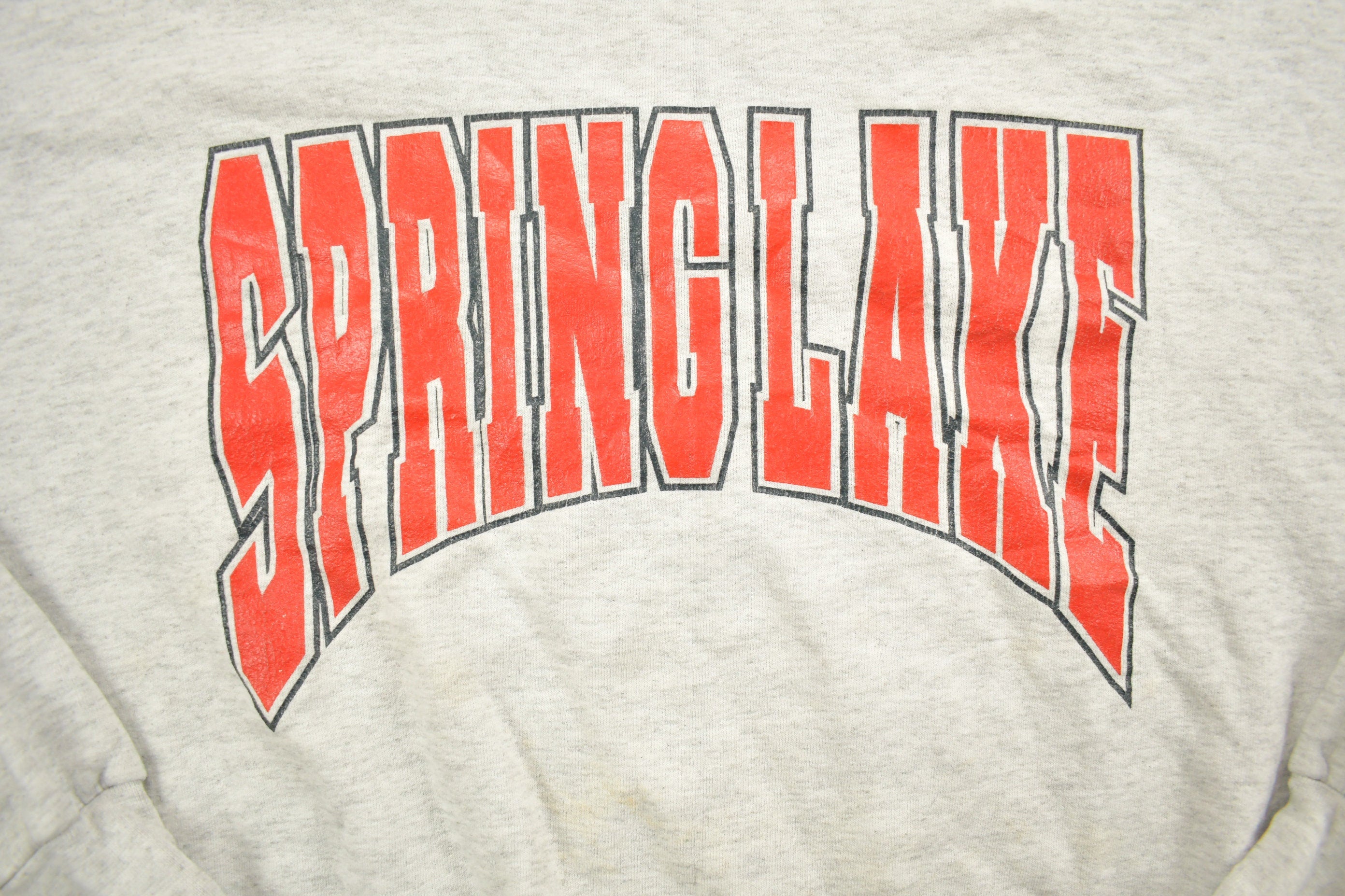 Vintage 1990s Spring Lake Crewneck Sweatshirt
