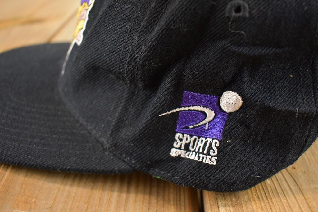 Vintage 1990s Minnesota Vikings Snapback NFL Hat / 90's Embroidered Sportswear Cap