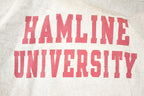 Vintage Y2K Distressed Champion Reverse Weave Hamline University Crewneck Sweatshirt Men's L