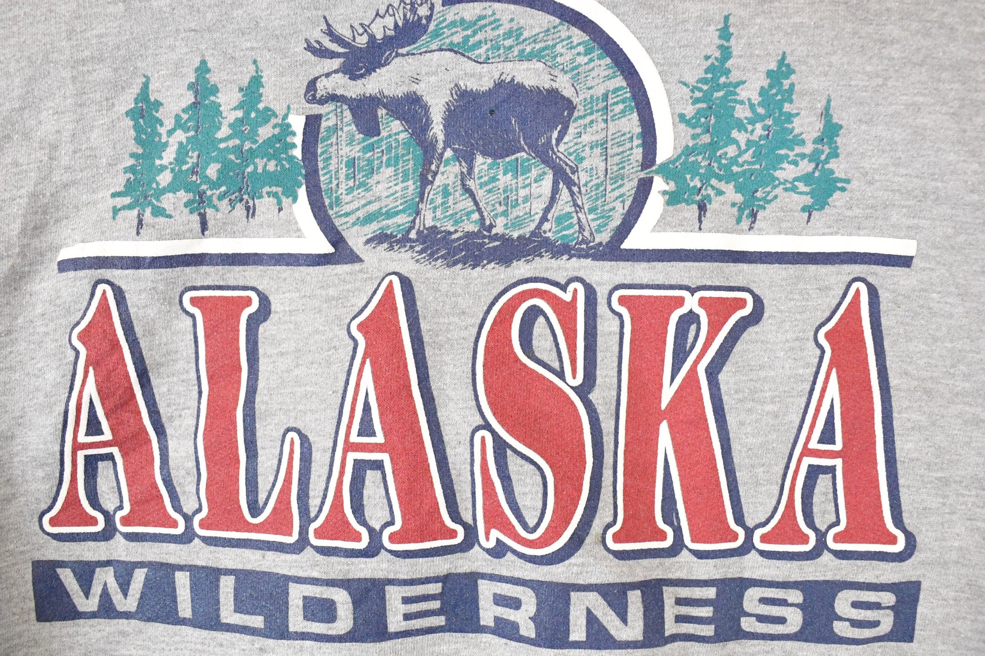 Vintage 1990s Alaska Wilderness Graphic Print Collared Heavyweight Sweatshirt Men's L