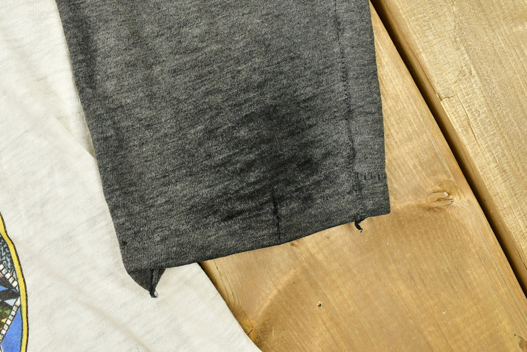 Vintage 1979 Carlos Santana Marathon Tour Raglan Band T-Shirt