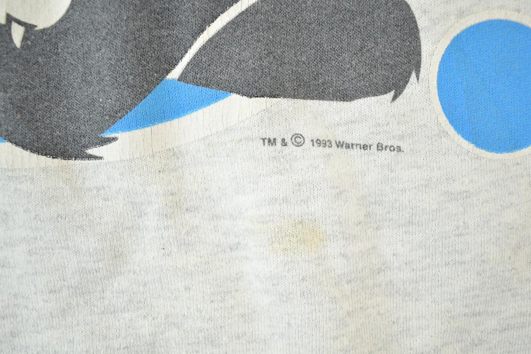 Vintage 1993 Warner Bros Sylvester And Tweety Bird Crewneck