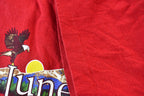 Vintage 1990s Juneau Alaska Princess Cruises Single Stitch Souvenir Graphic Travel T-Shirt