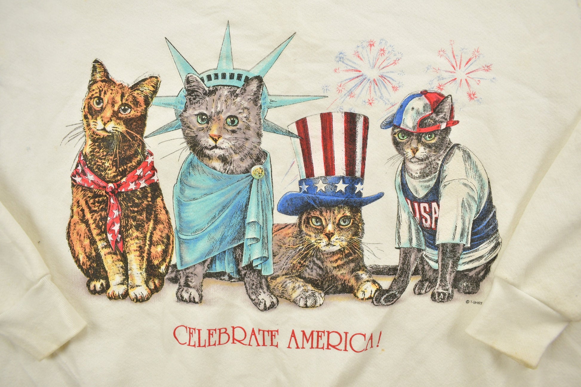 Vintage 1990s USA Celebration Crewneck Sweatshirt