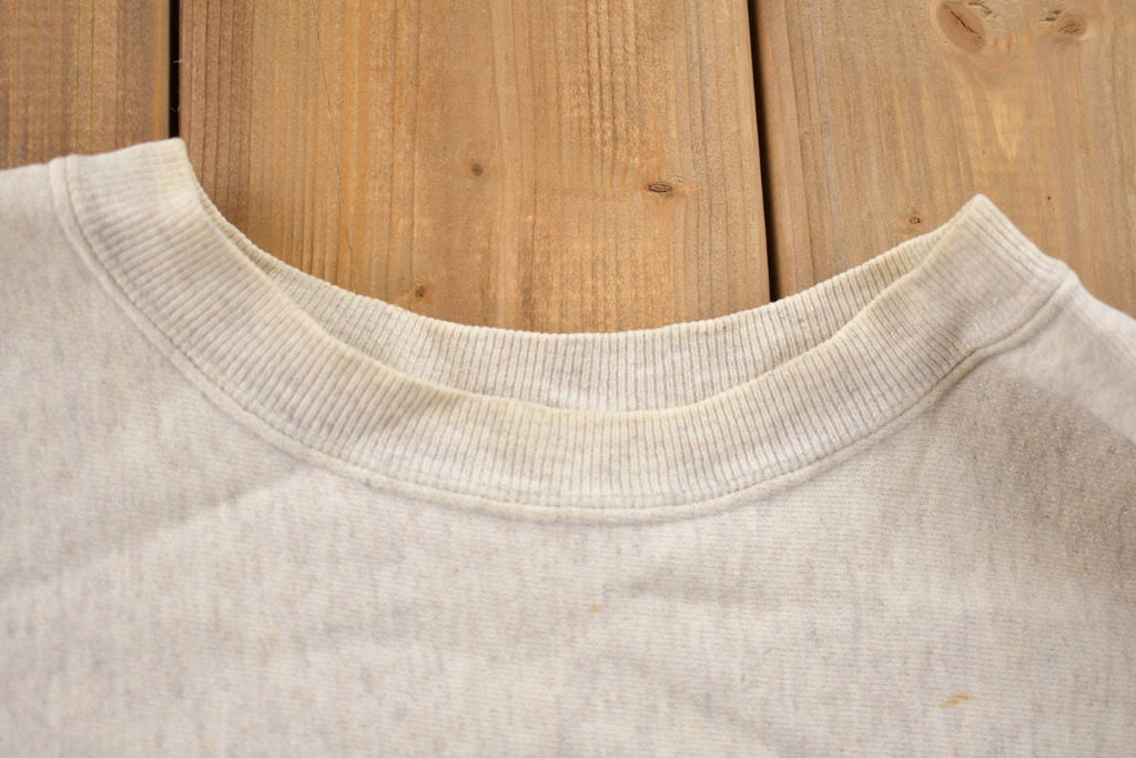 Vintage 1990s UIC University Of Illinois Champion Reverse Weave Crewneck  Collegiate Sweatshirt  Sportswear  Made In USA  Distressed