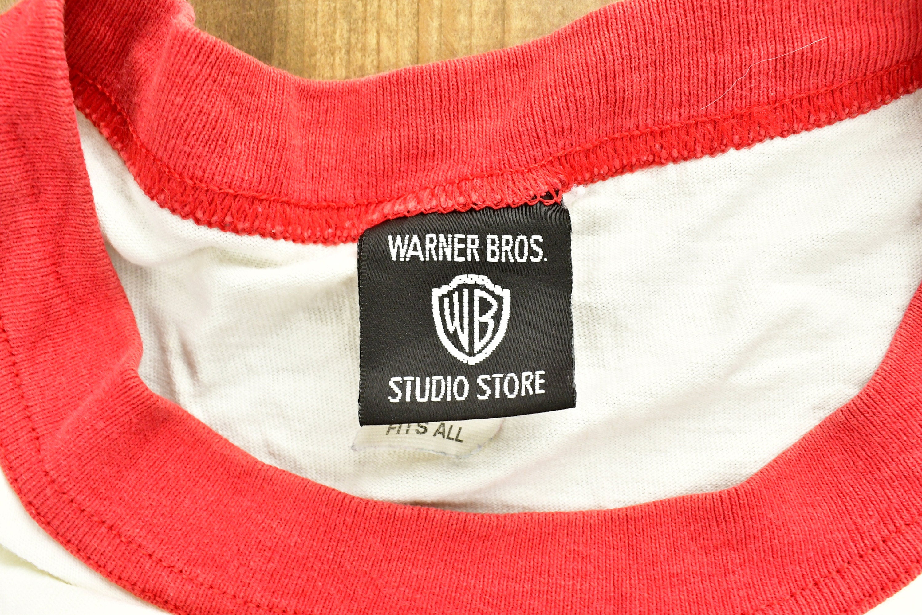 Vintage 1996 Tweety Bird Christmas T-Shirt , Made In USA , Warner Bros , Cartoon Network , Cartoonist , Ringer Tee