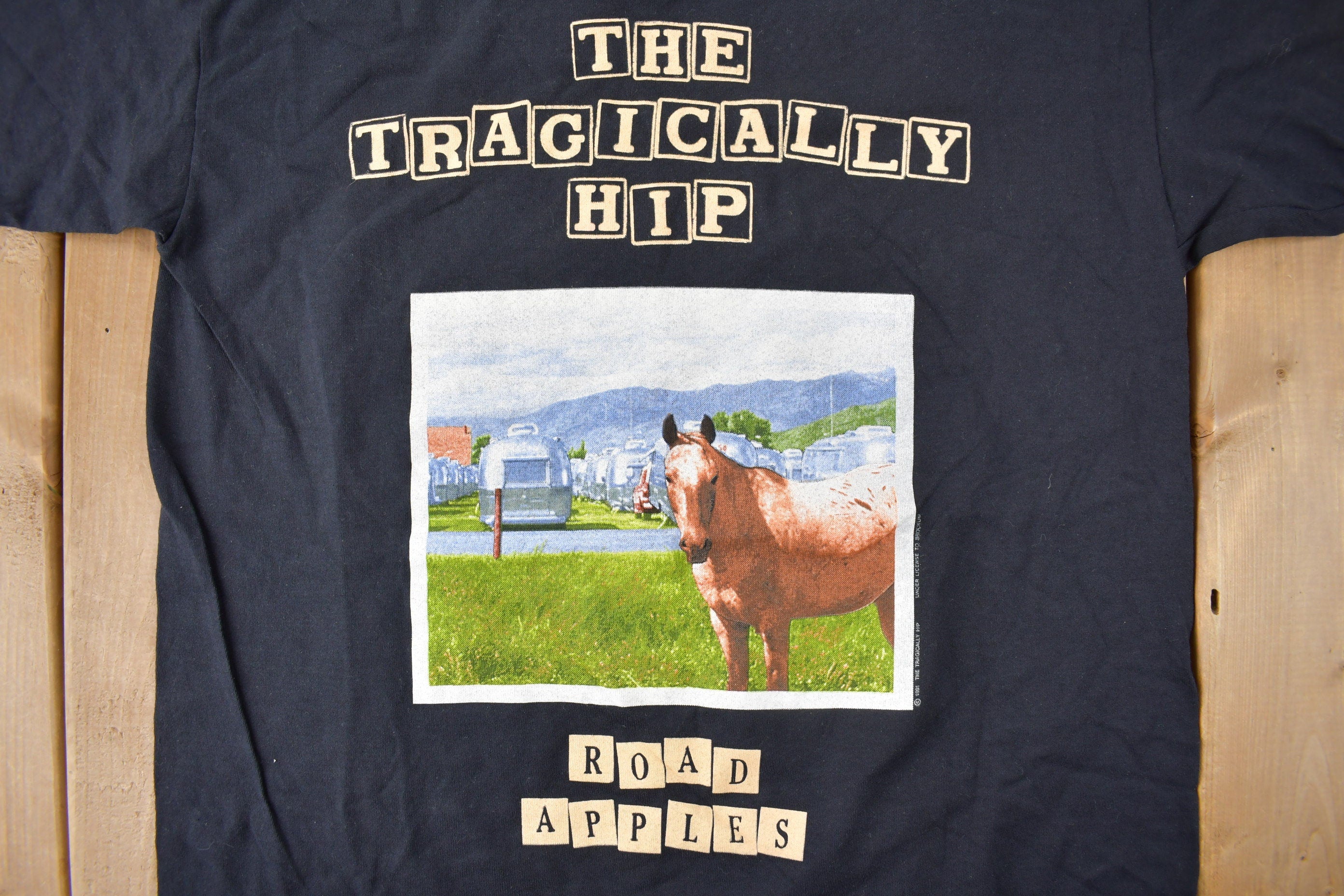 Vintage 1991 Deadstock The Tragically Hip Road Apples Single Stitch Band Tee Made in USA