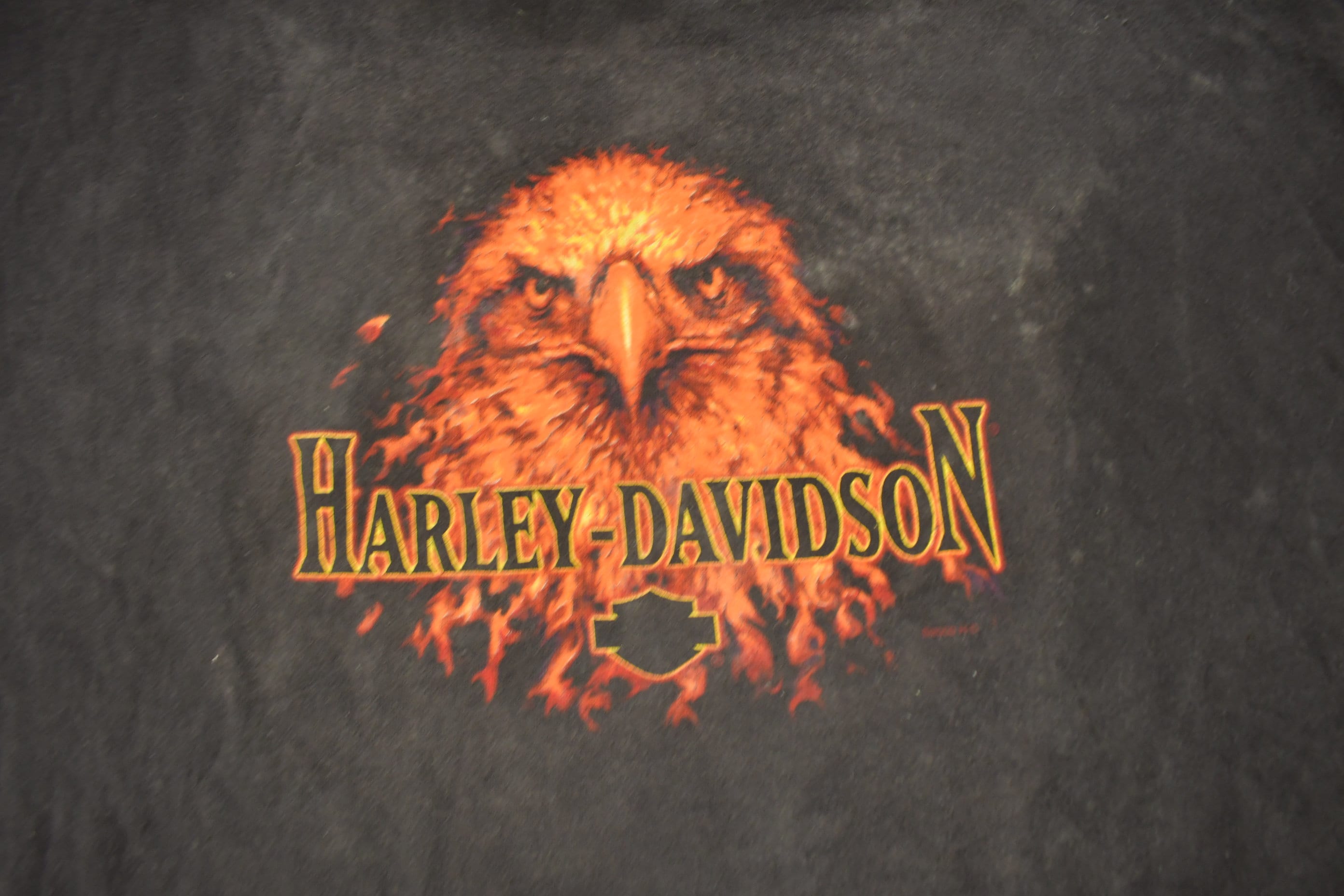 Vintage 2000 Harley Davidson Flaming Bald Eagle Graphic T-Shirt