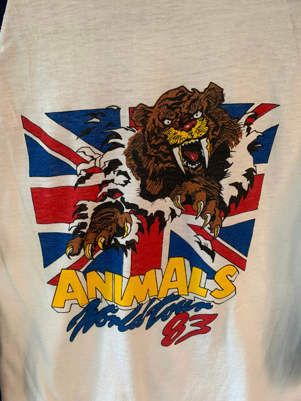Animals Raglan
