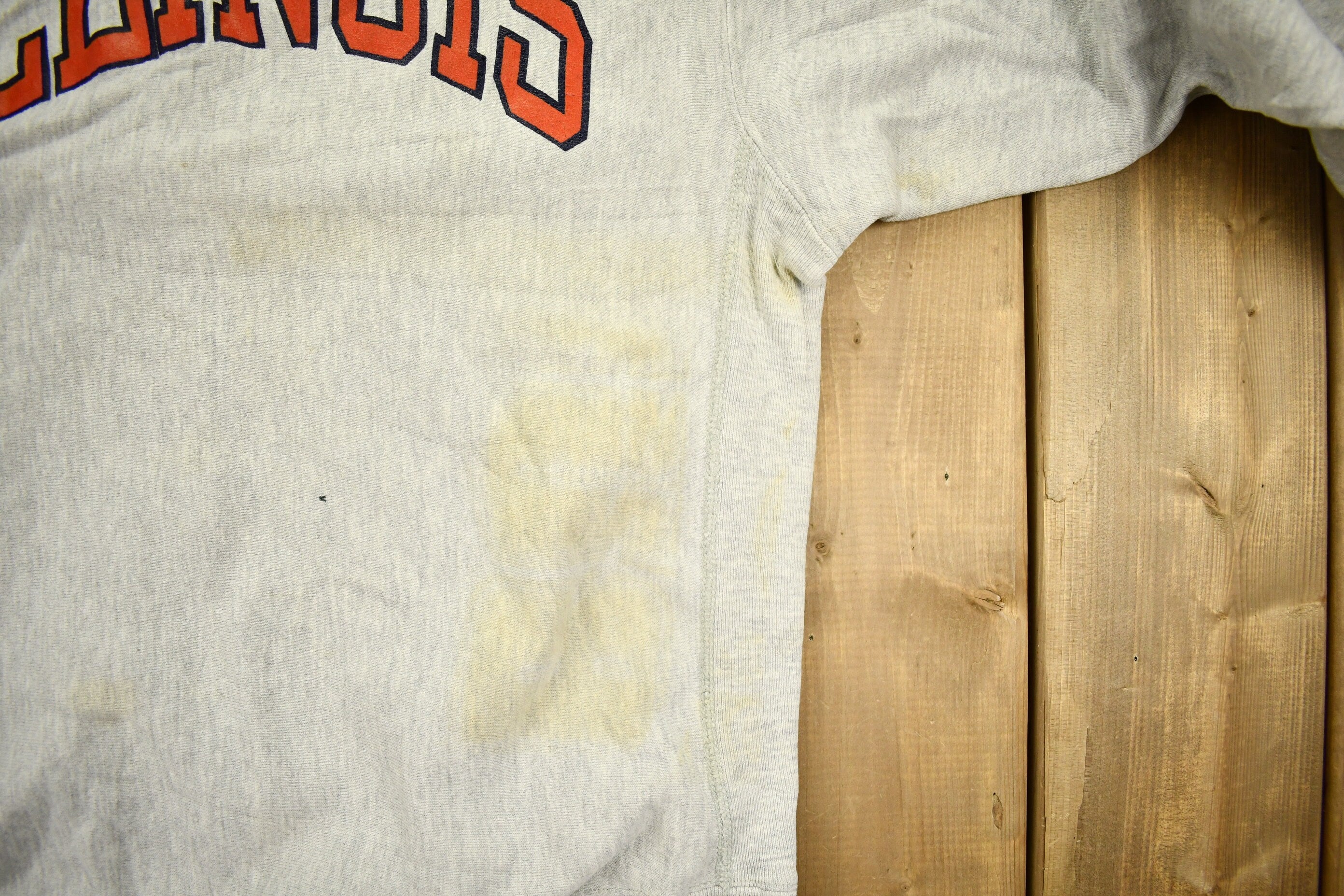 Vintage 1980s University Of Illinois Champion Reverse Weave Crewneck