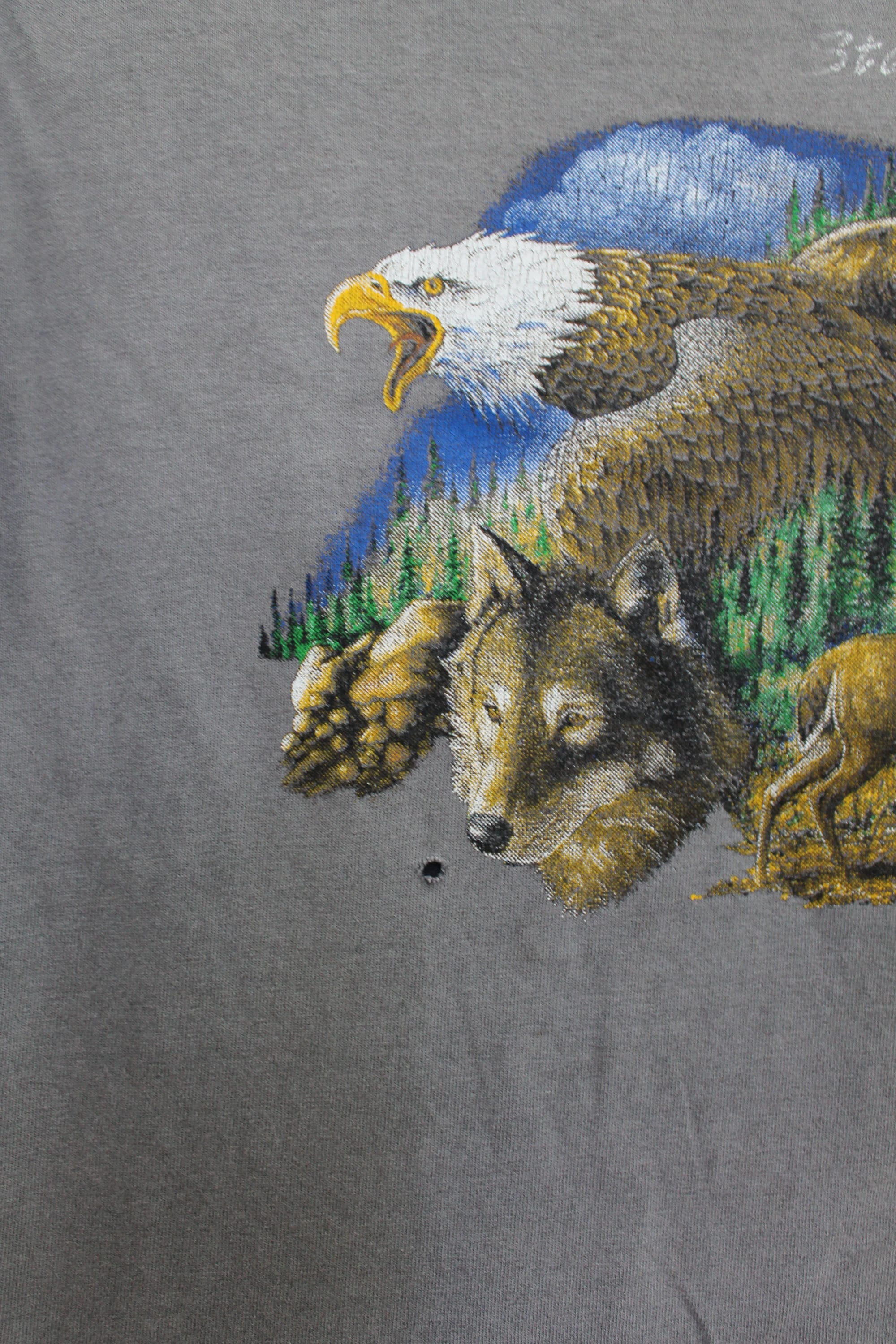 Vintage Starved Rock Souvenir T Shirt