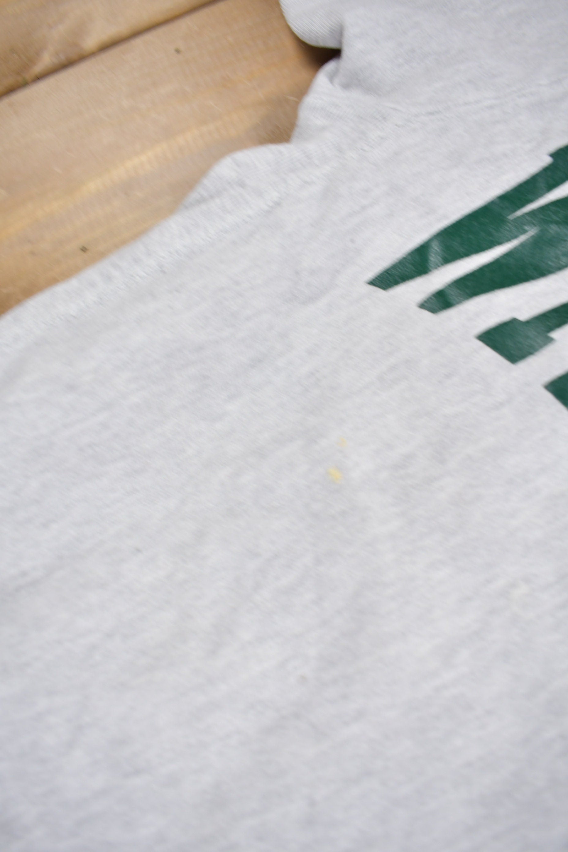 Vintage 1990s Wittenberg Champion Reverse Weave Collegiate Crewneck