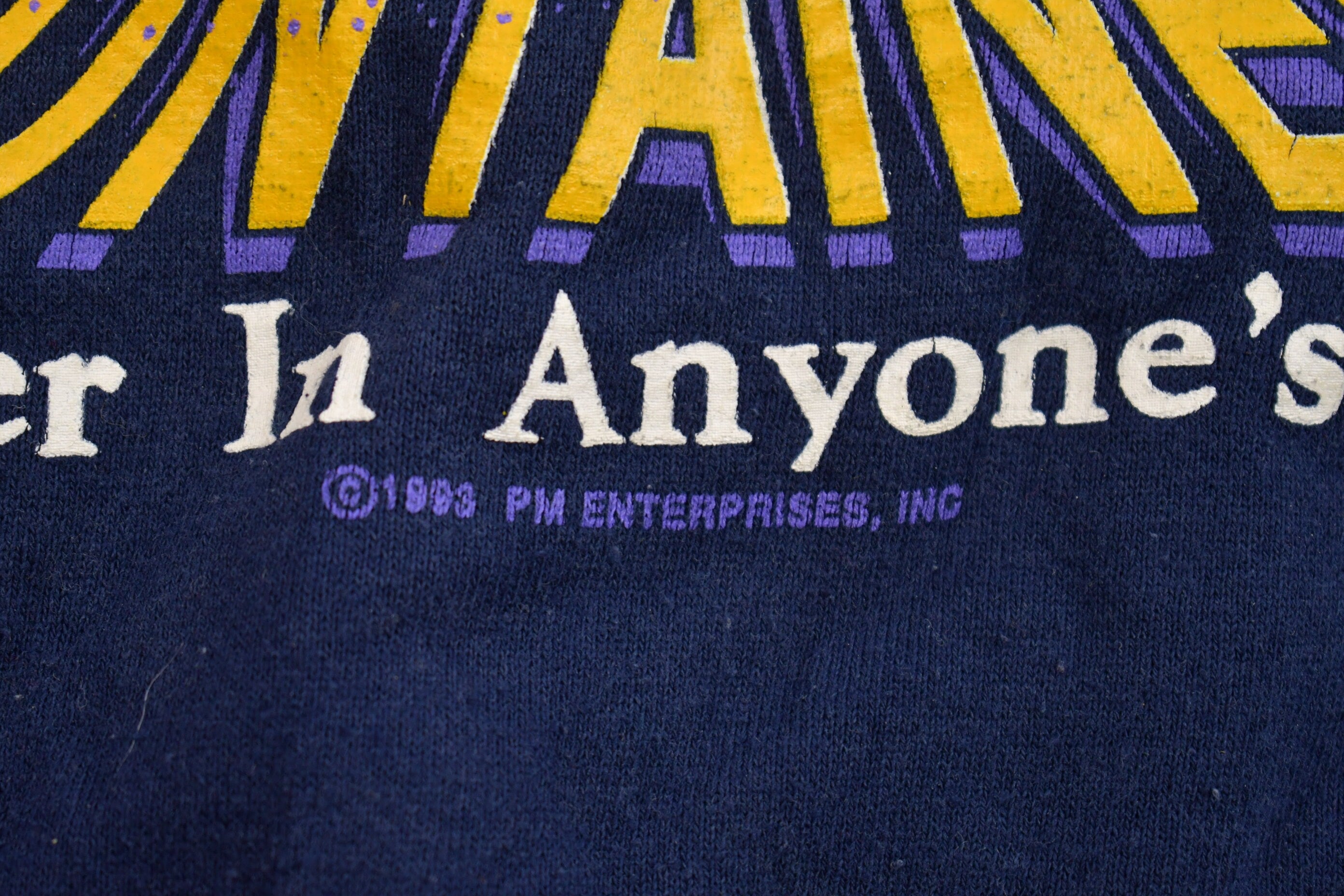 Vintage 1993 West Virginia University Mountaineers Collegiate Crewneck