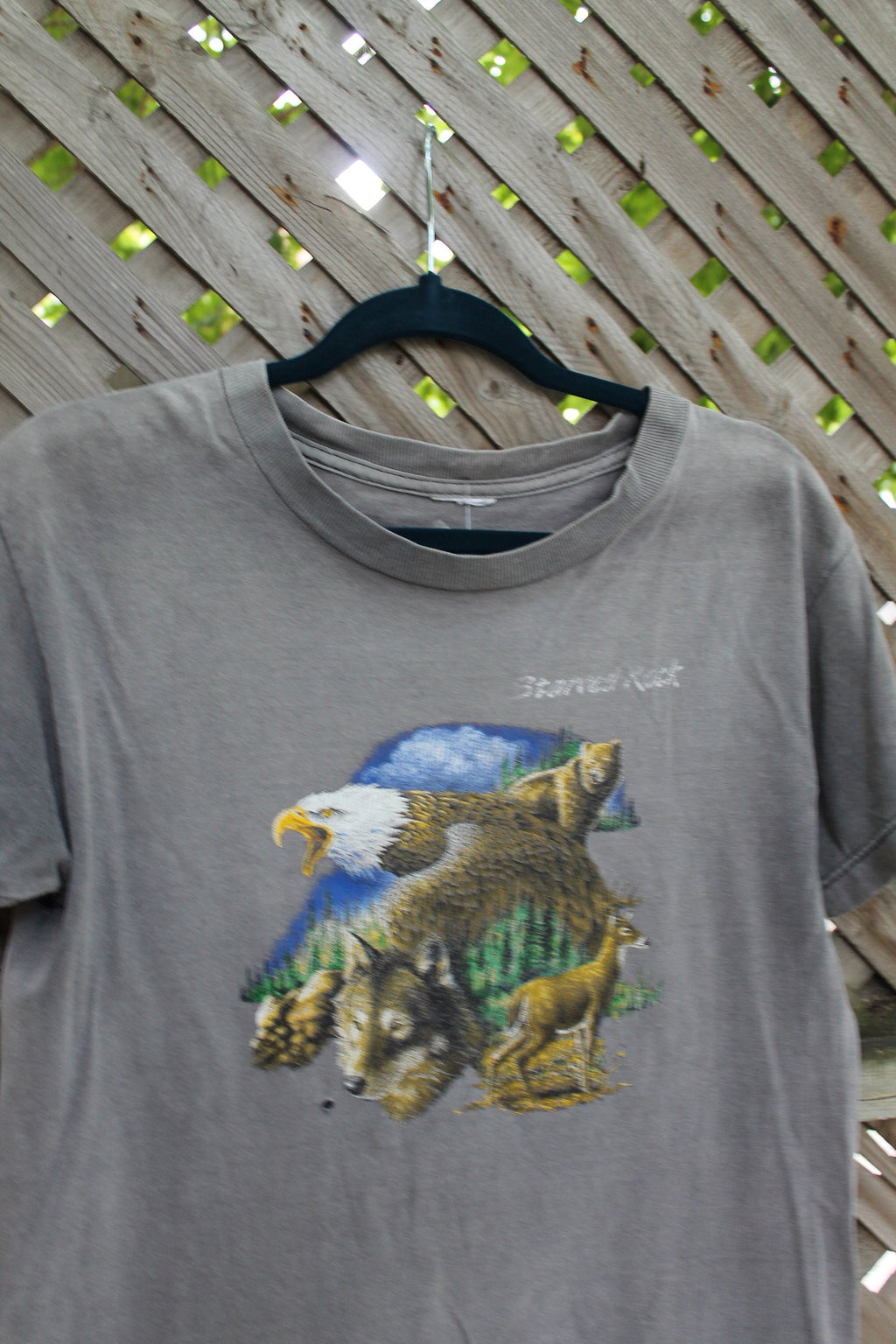 Vintage Starved Rock Souvenir T Shirt