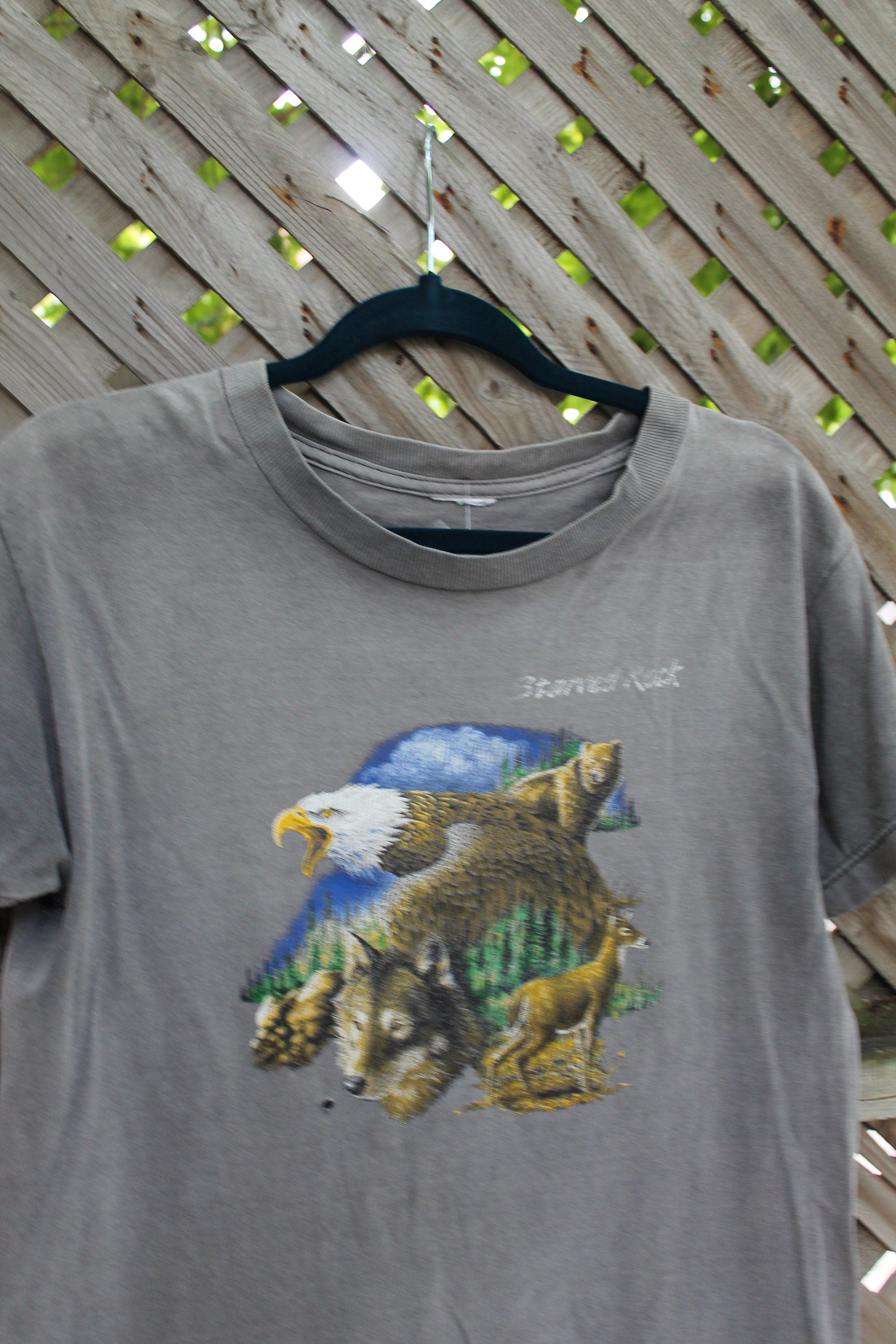 Vintage Starved Rock Souvenir T Shirt