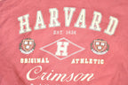 Vintage 1990s Harvard Crimson University Crewneck Sweater Men's L