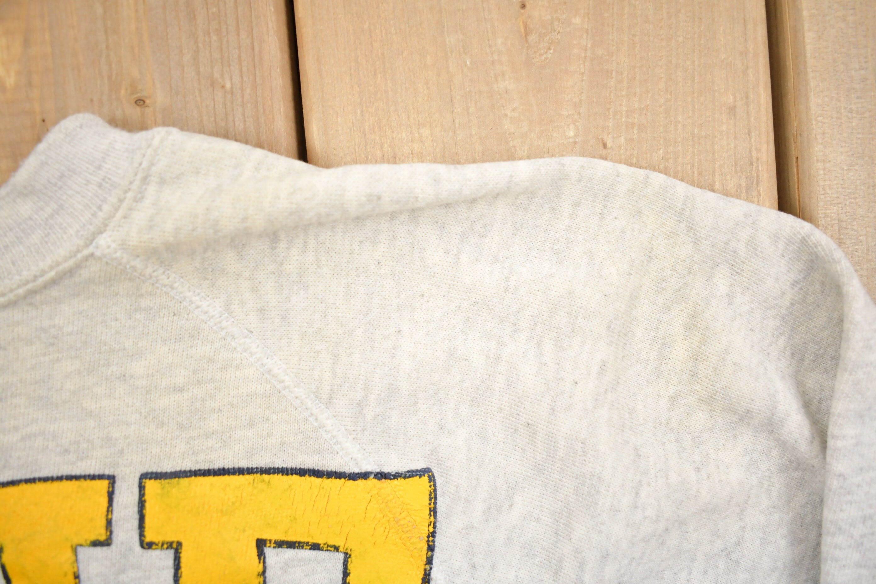 Vintage 1990s Erie Michigan Crewneck Sweatshirt
