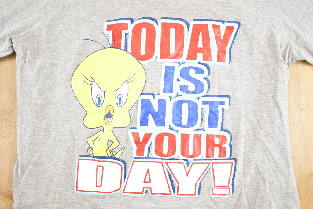 Vintage 1990s Looney Tunes Tweety Bird T Shirt Women's XL / Vintage Warner Brothers Shirt / Warner Bros Cartoon Shirt