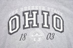 Vintage 1990s Ohio Buckeye State Hoodie Sweatshirt / 90s Hoodie / Souvenir Sweater / Streetwear / Travel And Vacation