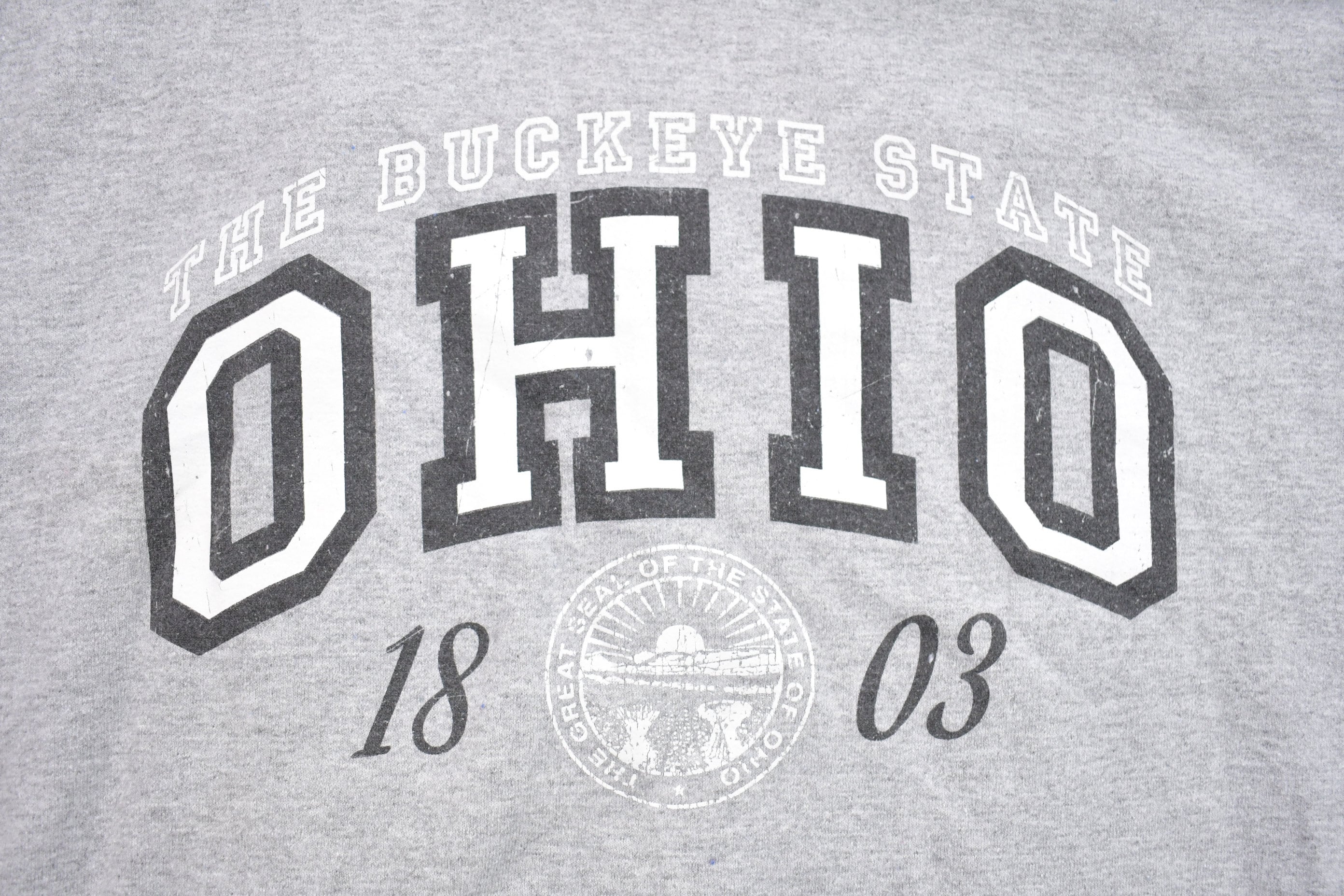 Vintage 1990s Ohio Buckeye State Hoodie Sweatshirt / 90s Hoodie / Souvenir Sweater / Streetwear / Travel And Vacation