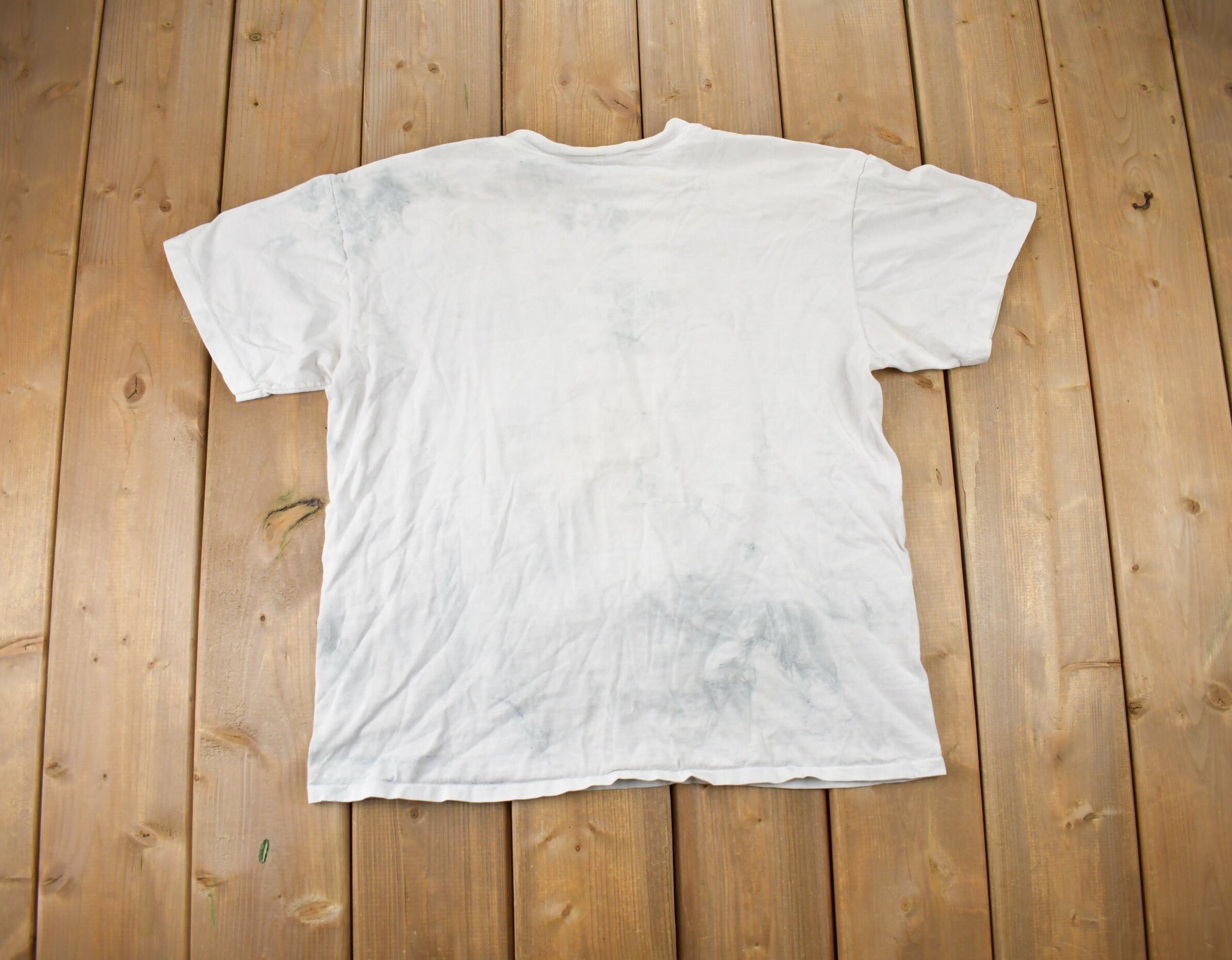 Vintage 1990s Oneita Frog Painting T-Shirt / Made In USA / Single Stitch / Streetwear / Nature T Shirt / Outdoorsman / Wilderness
