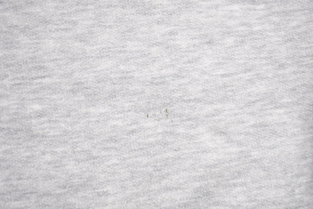 Vintage 1990s LA Speedy Blank Grey Crewneck Sweatshirt