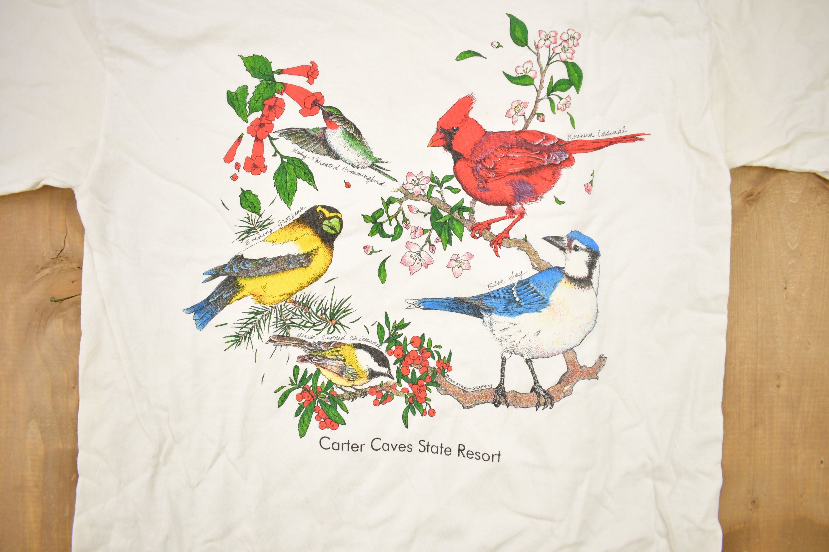 Vintage 1990s Carter Caves State Resort Bird Theme Graphic Women's T-Shirt