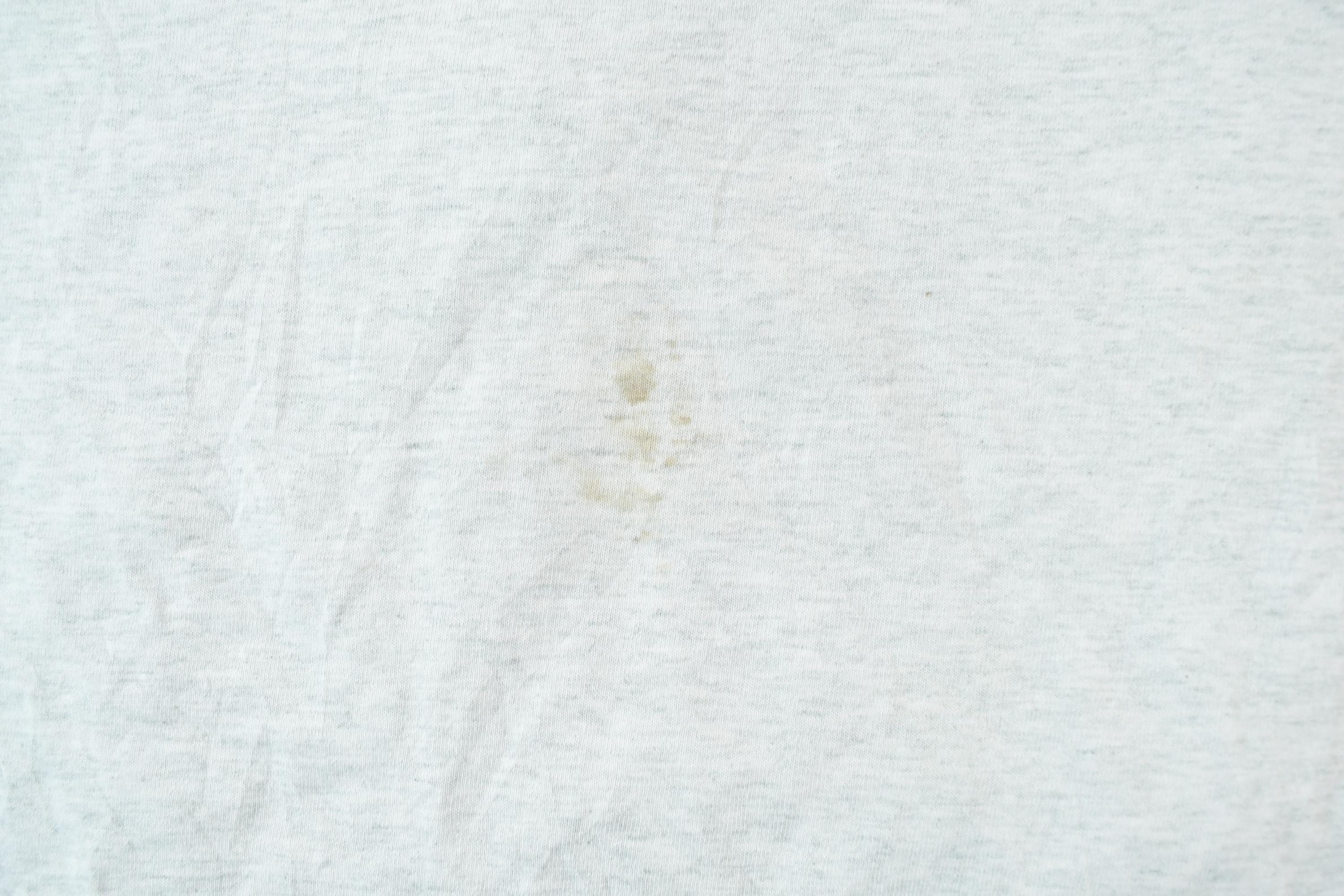Vintage 1990s Explore Minnesota Single Stitch T-Shirt