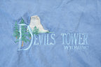 Vintage 1990s Desert Heat Devils Tower Wyoming Embroidered Souvenir T-Shirt