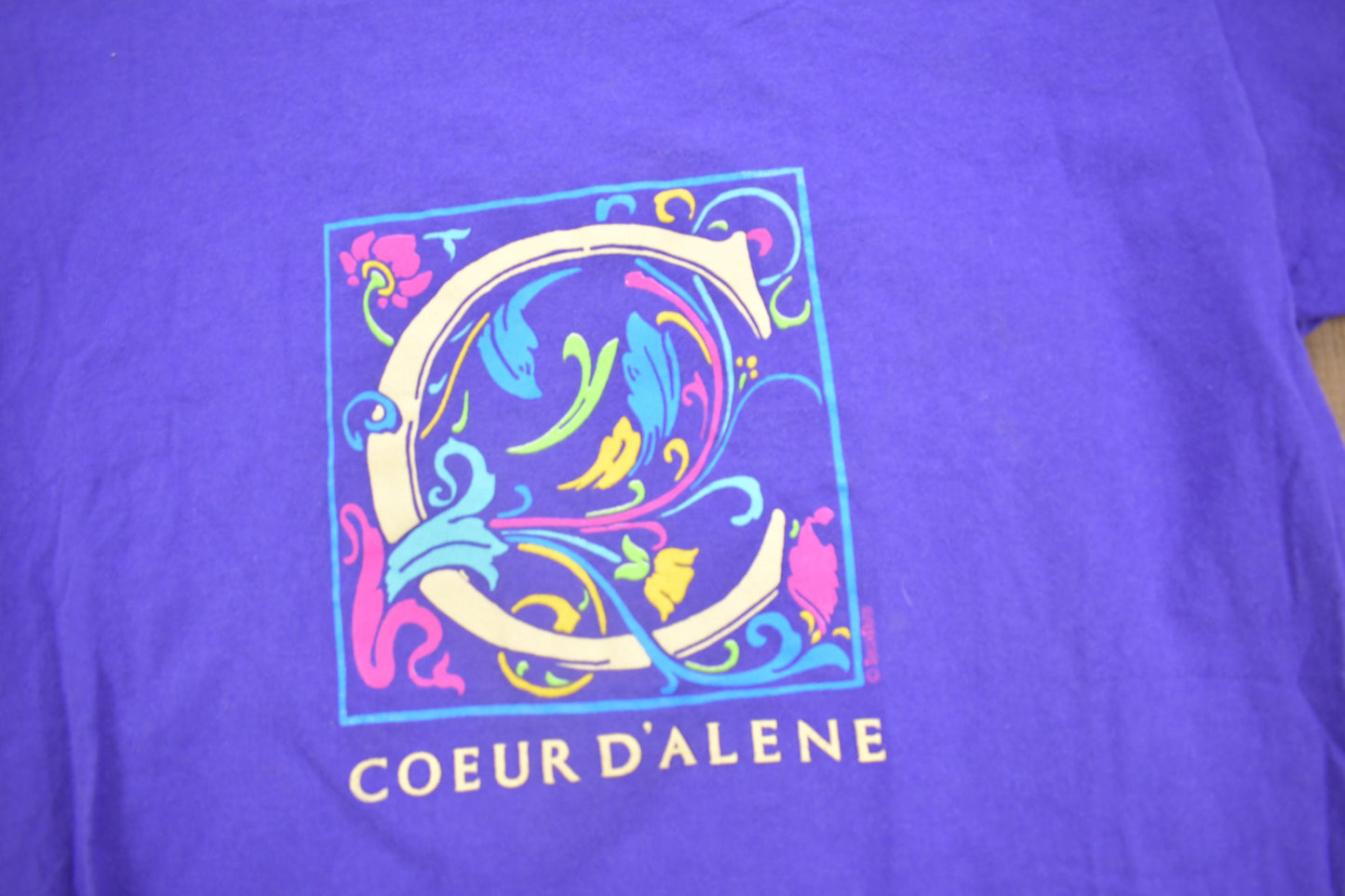 Vintage 1980s Coeur d’Alene Idaho Souvenir T Shirt / Streetwear / Made In USA / Vacation Tee / Travel T Shirt / Single Stitch