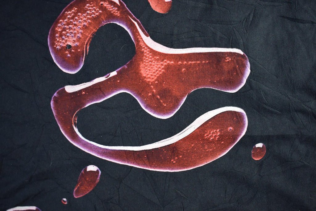 Vintage 1995 Alan Parsons Live Tour Band T-Shirt Men's XL