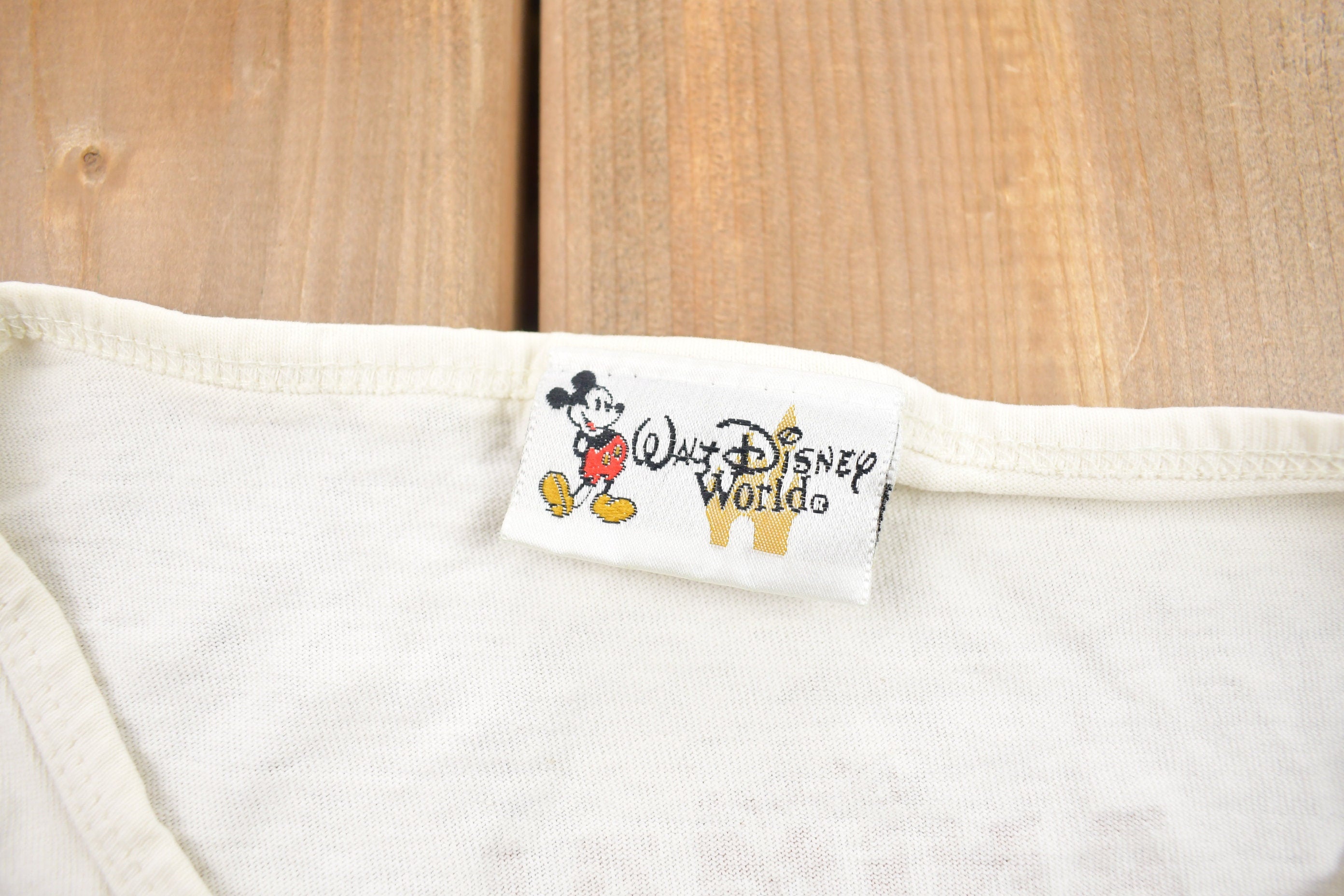 Vintage 1990s Disney World Animal Kingdom Lion Graphic T Shirt  Stained  Rare Vintage  Streetwear  Single Stitch  Made In USA